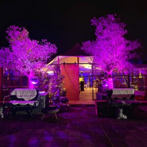 Stretchtent 90s discofeest