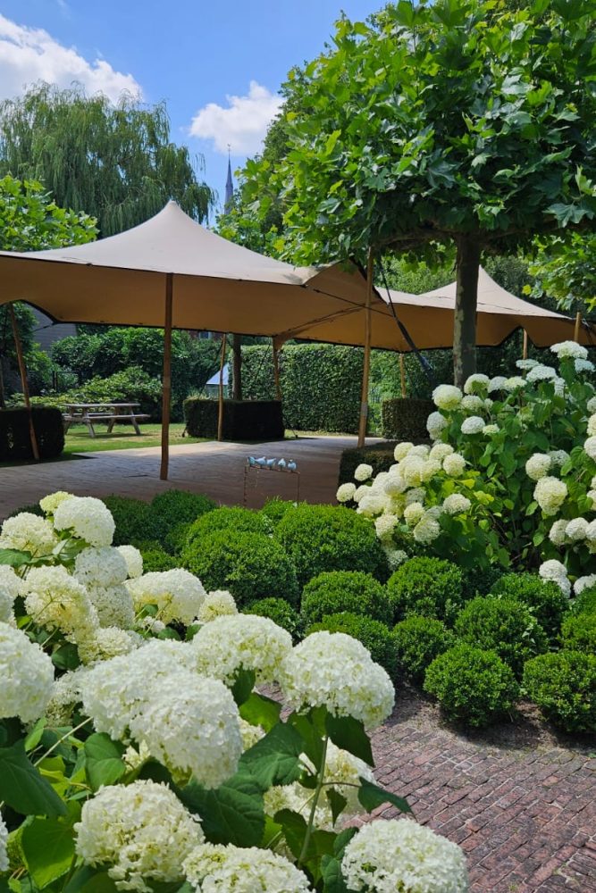 stretchtent huren tuinfeest
